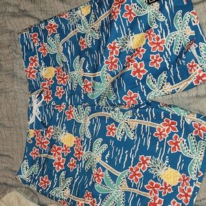American Eagle Swim Trunks